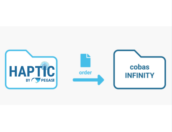 Plataforma de integración PEGASI